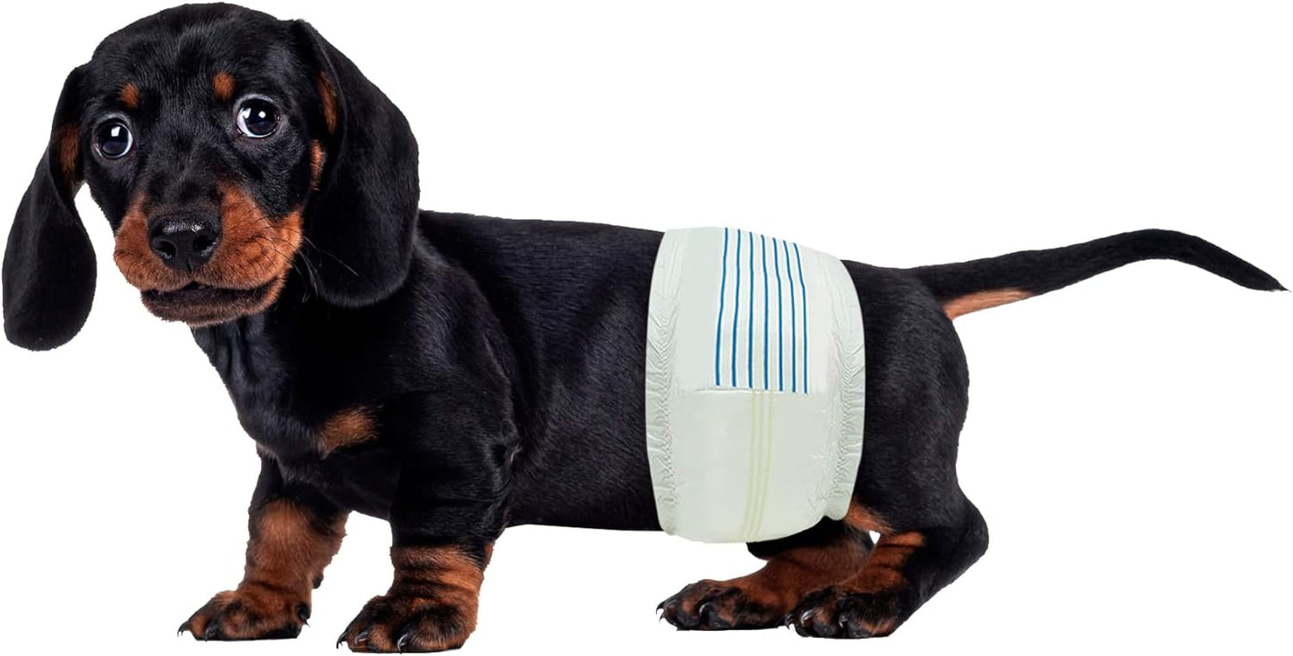 Super Absorbent Disposable Male Dog Diapers - Small (Waist 12-19 In) - 50 Count with Wetness Indicator - Adjustable Wraps for Incontinence and Training