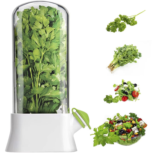 Herb Saver for Refrigerator – Clear Cilantro Keeper, Tall Shape Plastic Preserver Container